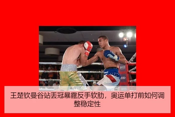 wang-chu-qin-man-gu-zhan-diu-guan-bao-lu-fan-shou-ruan-lei-ao-yun-dan-da-qian-ru-he-tiao-zheng-wen-ding-xing-3-856.jpg